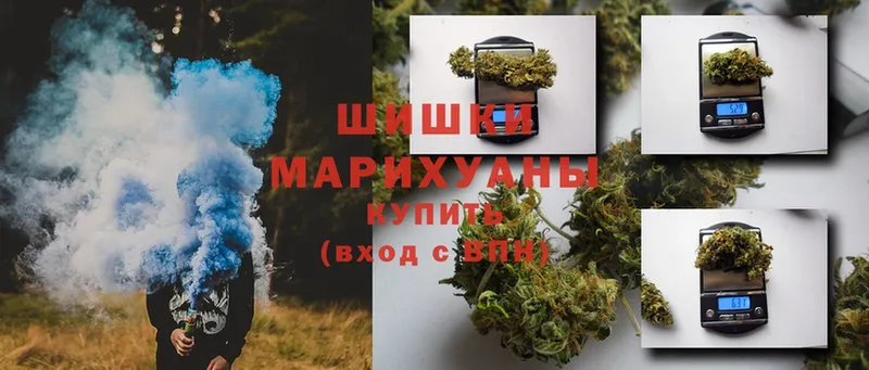 Бошки марихуана OG Kush  Бутурлиновка 